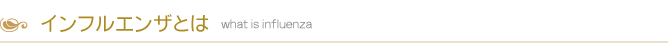 インフルエンザとは